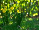 The week of 16th March