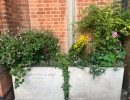The week of 28th June